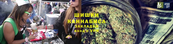 ГАЛЛЮЦИНОГЕННЫЕ ГРИБЫ Алексеевка